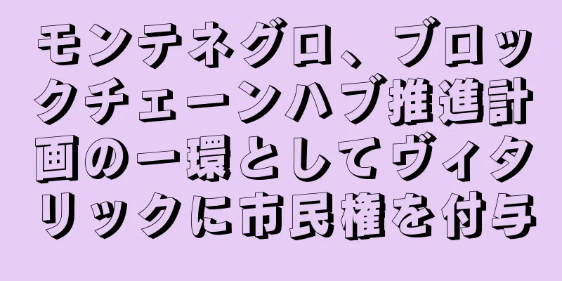 モンテネグロ、ブロックチェーンハブ推進計画の一環としてヴィタリックに市民権を付与