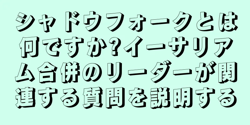 シャドウフォークとは何ですか?イーサリアム合併のリーダーが関連する質問を説明する