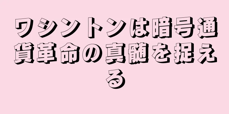 ワシントンは暗号通貨革命の真髄を捉える