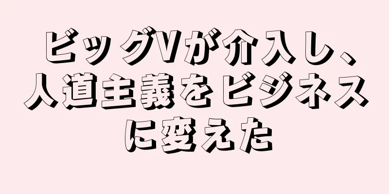 ビッグVが介入し、人道主義をビジネスに変えた