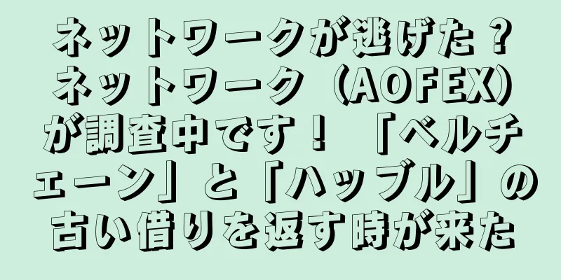 ネットワークが逃げた？ネットワーク（AOFEX）が調査中です！ 「ベルチェーン」と「ハッブル」の古い借りを返す時が来た
