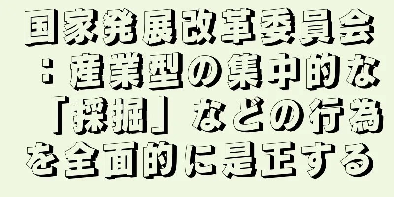 国家発展改革委員会：産業型の集中的な「採掘」などの行為を全面的に是正する