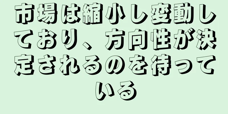 市場は縮小し変動しており、方向性が決定されるのを待っている