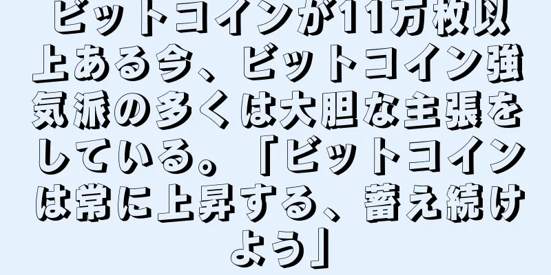 ビットコインが11万枚以上ある今、ビットコイン強気派の多くは大胆な主張をしている。「ビットコインは常に上昇する、蓄え続けよう」