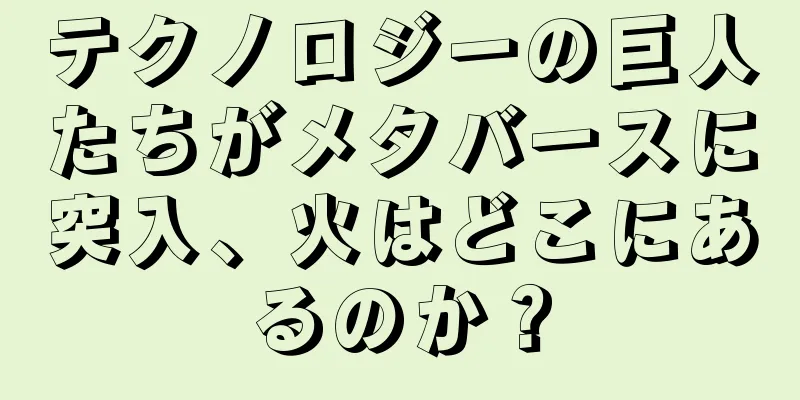 テクノロジーの巨人たちがメタバースに突入、火はどこにあるのか？