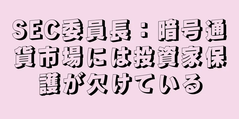SEC委員長：暗号通貨市場には投資家保護が欠けている