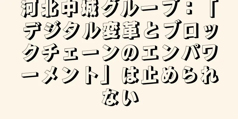 河北中城グループ：「デジタル変革とブロックチェーンのエンパワーメント」は止められない