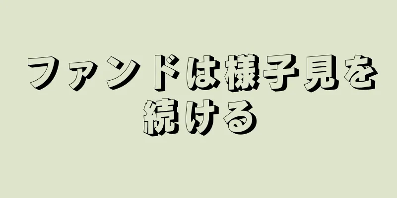 ファンドは様子見を続ける