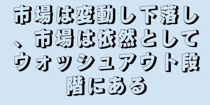市場は変動し下落し、市場は依然としてウォッシュアウト段階にある