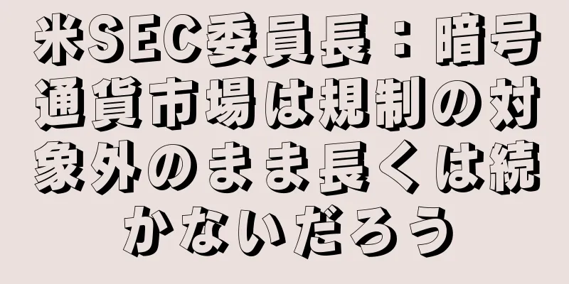 米SEC委員長：暗号通貨市場は規制の対象外のまま長くは続かないだろう