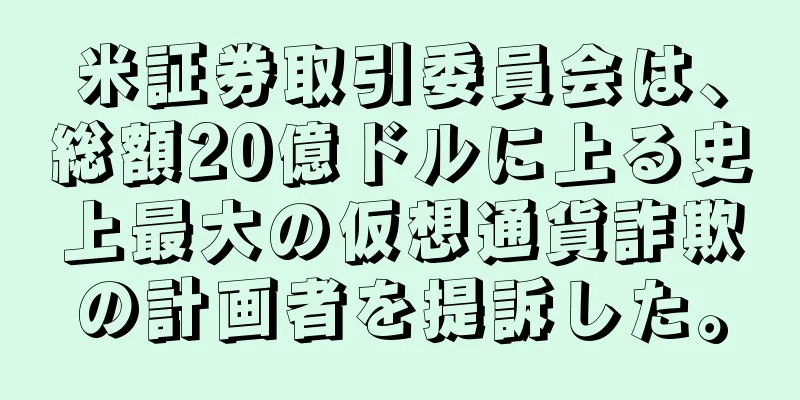 米証券取引委員会は、総額20億ドルに上る史上最大の仮想通貨詐欺の計画者を提訴した。