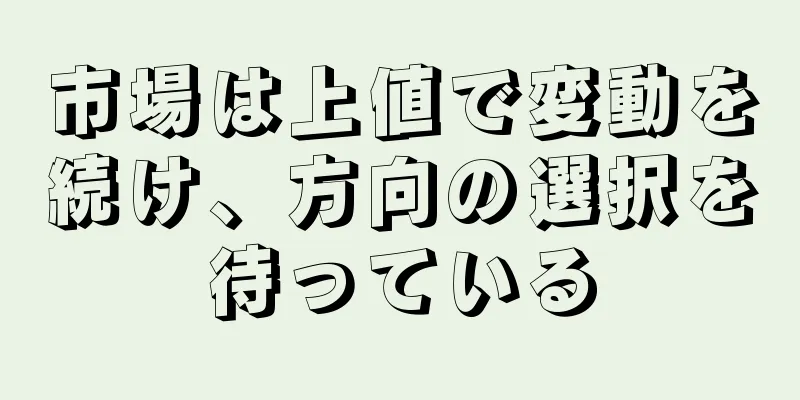 市場は上値で変動を続け、方向の選択を待っている