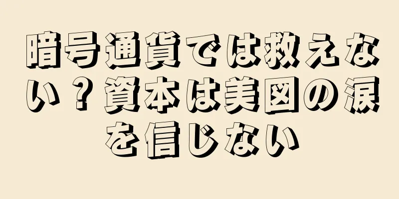 暗号通貨では救えない？資本は美図の涙を信じない