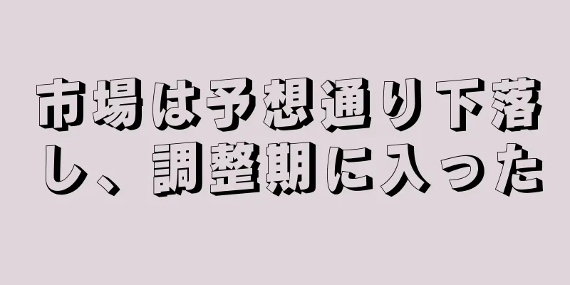 市場は予想通り下落し、調整期に入った