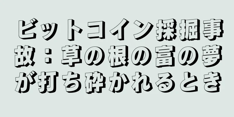 ビットコイン採掘事故：草の根の富の夢が打ち砕かれるとき