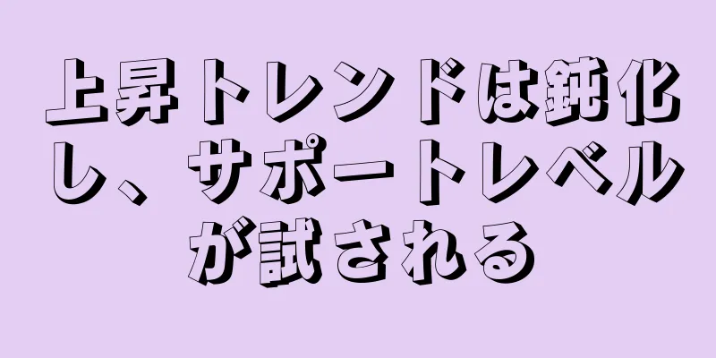 上昇トレンドは鈍化し、サポートレベルが試される