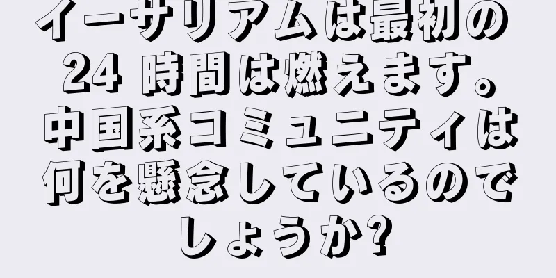 イーサリアムは最初の 24 時間は燃えます。中国系コミュニティは何を懸念しているのでしょうか?