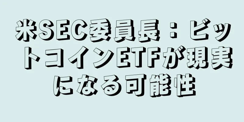 米SEC委員長：ビットコインETFが現実になる可能性