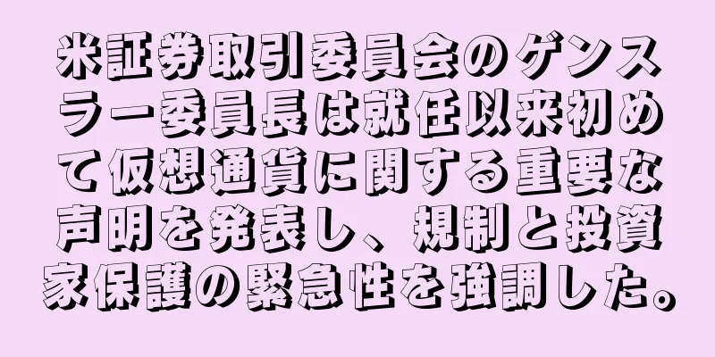 米証券取引委員会のゲンスラー委員長は就任以来初めて仮想通貨に関する重要な声明を発表し、規制と投資家保護の緊急性を強調した。