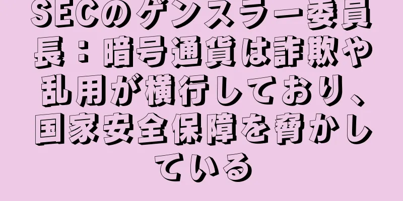 SECのゲンスラー委員長：暗号通貨は詐欺や乱用が横行しており、国家安全保障を脅かしている