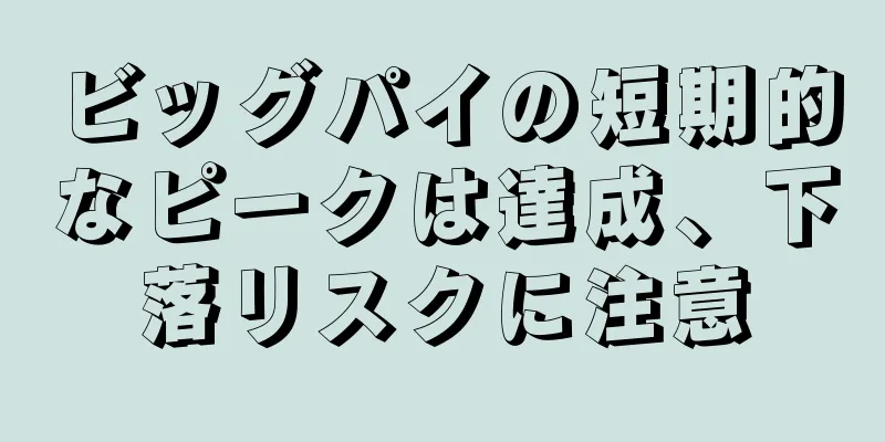 ビッグパイの短期的なピークは達成、下落リスクに注意
