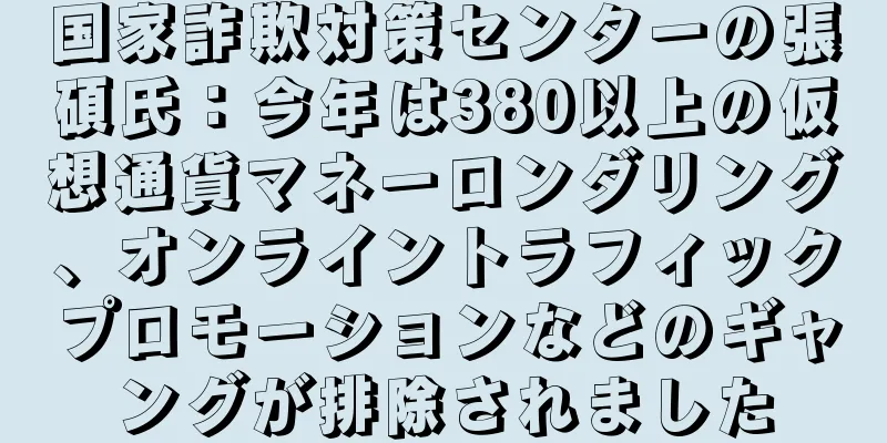 国家詐欺対策センターの張碩氏：今年は380以上の仮想通貨マネーロンダリング、オンライントラフィックプロモーションなどのギャングが排除されました