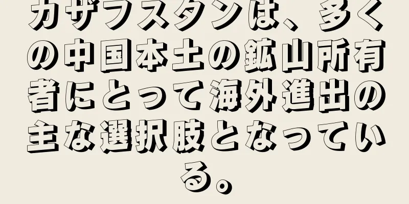 カザフスタンは、多くの中国本土の鉱山所有者にとって海外進出の主な選択肢となっている。