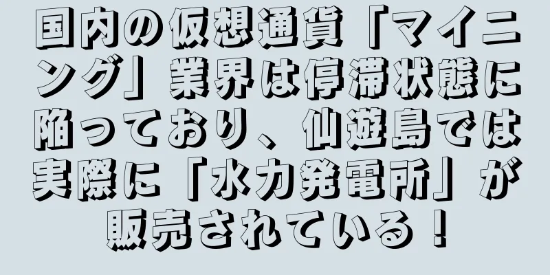 国内の仮想通貨「マイニング」業界は停滞状態に陥っており、仙遊島では実際に「水力発電所」が販売されている！
