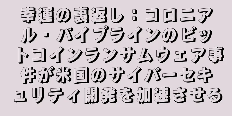 幸運の裏返し：コロニアル・パイプラインのビットコインランサムウェア事件が米国のサイバーセキュリティ開発を加速させる