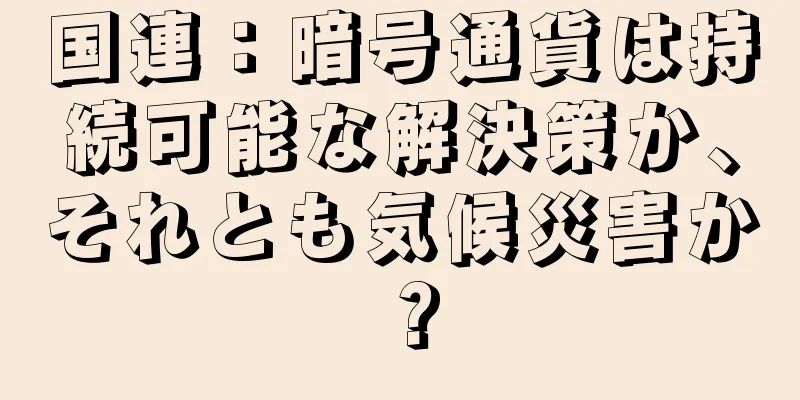 国連：暗号通貨は持続可能な解決策か、それとも気候災害か？