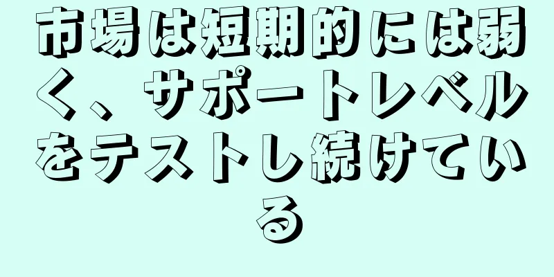 市場は短期的には弱く、サポートレベルをテストし続けている