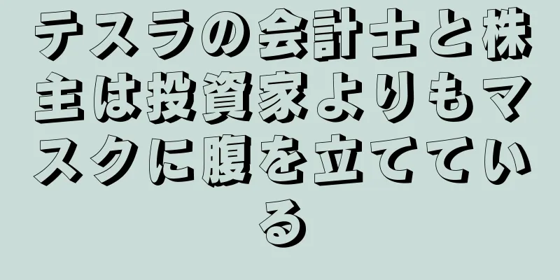 テスラの会計士と株主は投資家よりもマスクに腹を立てている