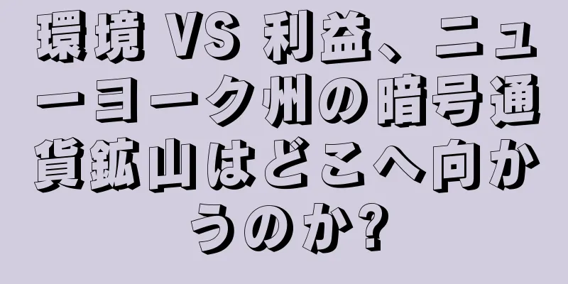 環境 VS 利益、ニューヨーク州の暗号通貨鉱山はどこへ向かうのか?