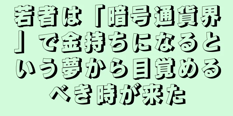 若者は「暗号通貨界」で金持ちになるという夢から目覚めるべき時が来た