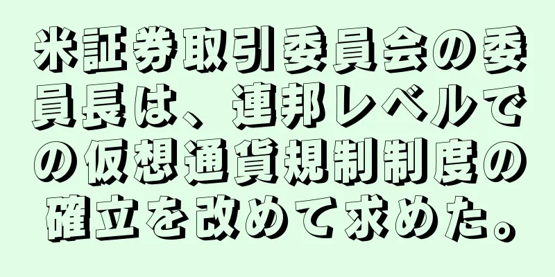 米証券取引委員会の委員長は、連邦レベルでの仮想通貨規制制度の確立を改めて求めた。