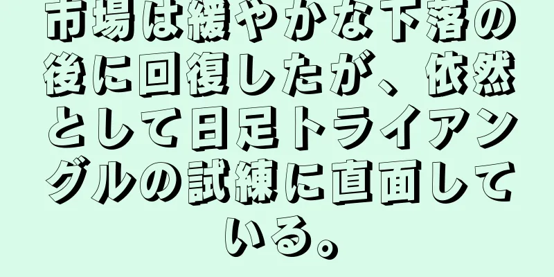 市場は緩やかな下落の後に回復したが、依然として日足トライアングルの試練に直面している。