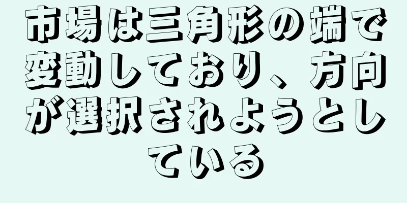 市場は三角形の端で変動しており、方向が選択されようとしている