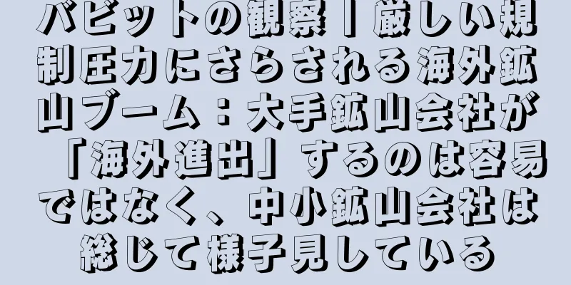 バビットの観察丨厳しい規制圧力にさらされる海外鉱山ブーム：大手鉱山会社が「海外進出」するのは容易ではなく、中小鉱山会社は総じて様子見している