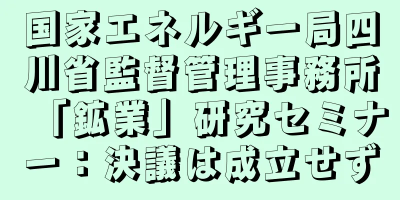 国家エネルギー局四川省監督管理事務所「鉱業」研究セミナー：決議は成立せず