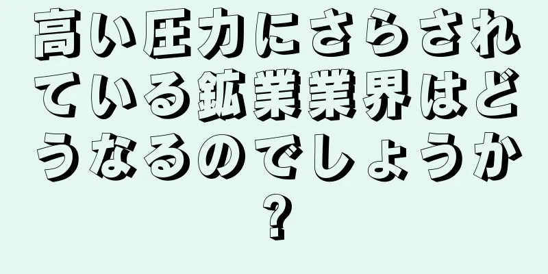 高い圧力にさらされている鉱業業界はどうなるのでしょうか?