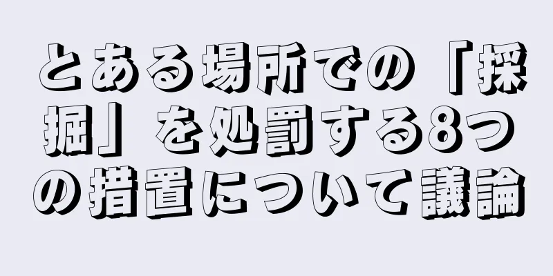とある場所での「採掘」を処罰する8つの措置について議論