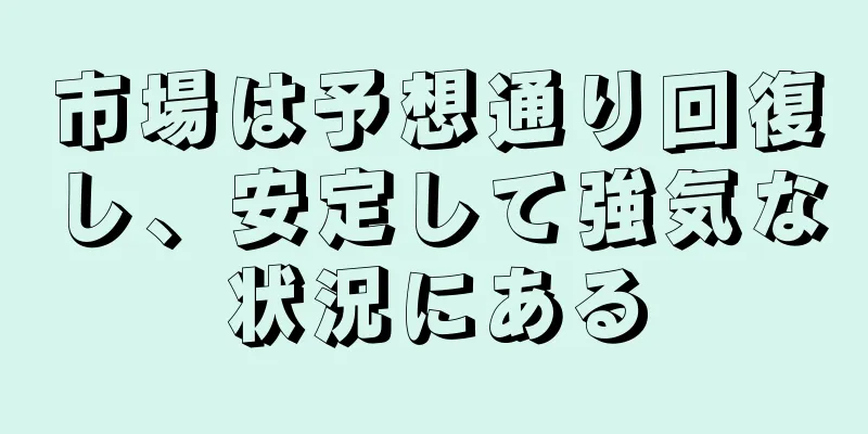 市場は予想通り回復し、安定して強気な状況にある