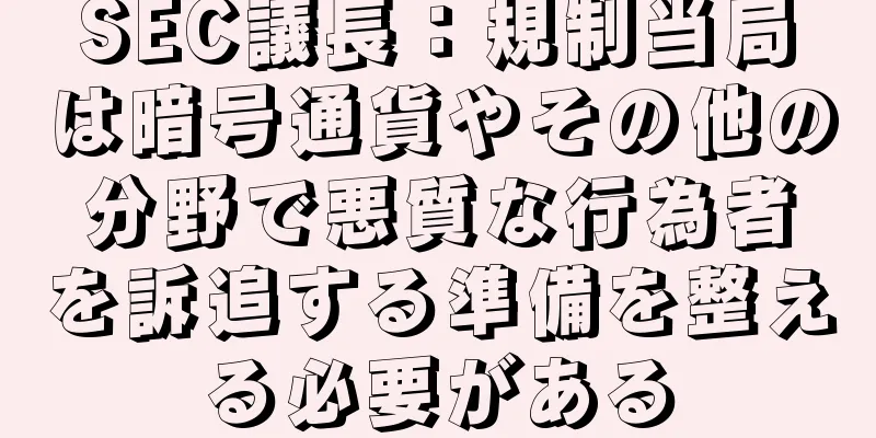 SEC議長：規制当局は暗号通貨やその他の分野で悪質な行為者を訴追する準備を整える必要がある