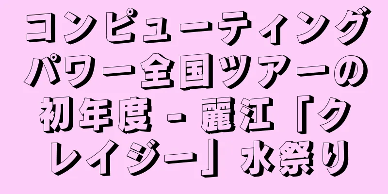 コンピューティングパワー全国ツアーの初年度 - 麗江「クレイジー」水祭り