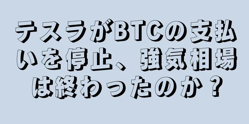 テスラがBTCの支払いを停止、強気相場は終わったのか？
