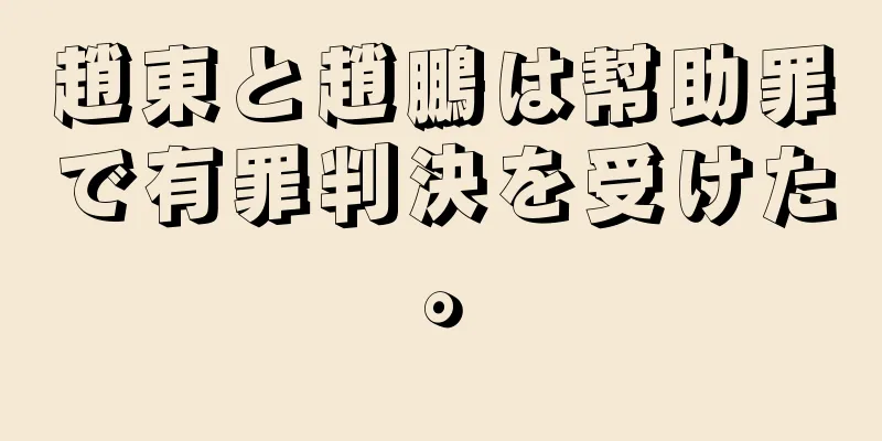 趙東と趙鵬は幇助罪で有罪判決を受けた。