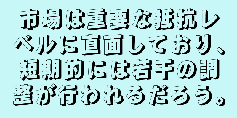 市場は重要な抵抗レベルに直面しており、短期的には若干の調整が行われるだろう。