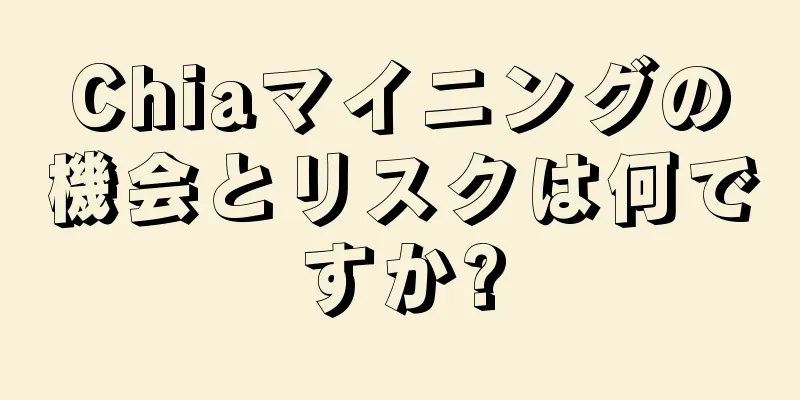 Chiaマイニングの機会とリスクは何ですか?