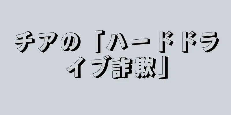 チアの「ハードドライブ詐欺」