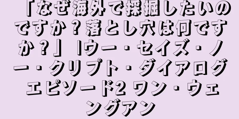 「なぜ海外で採掘したいのですか？落とし穴は何ですか？」 |ウー・セイズ・ノー・クリプト・ダイアログ エピソード2 ワン・ウェングアン